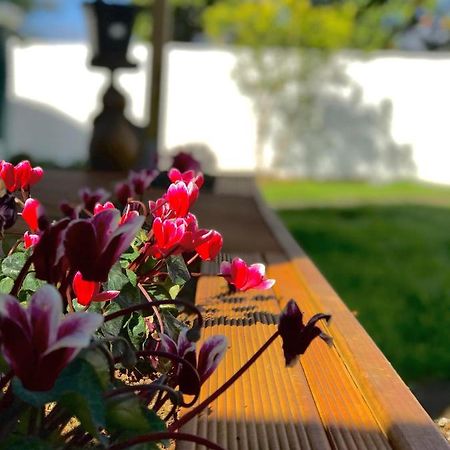 Готель Onehunga Garden Tinyhouse With Parking Окленд Екстер'єр фото