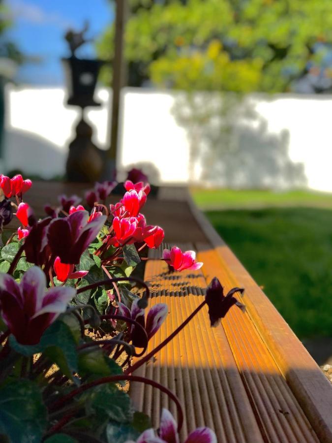 Готель Onehunga Garden Tinyhouse With Parking Окленд Екстер'єр фото
